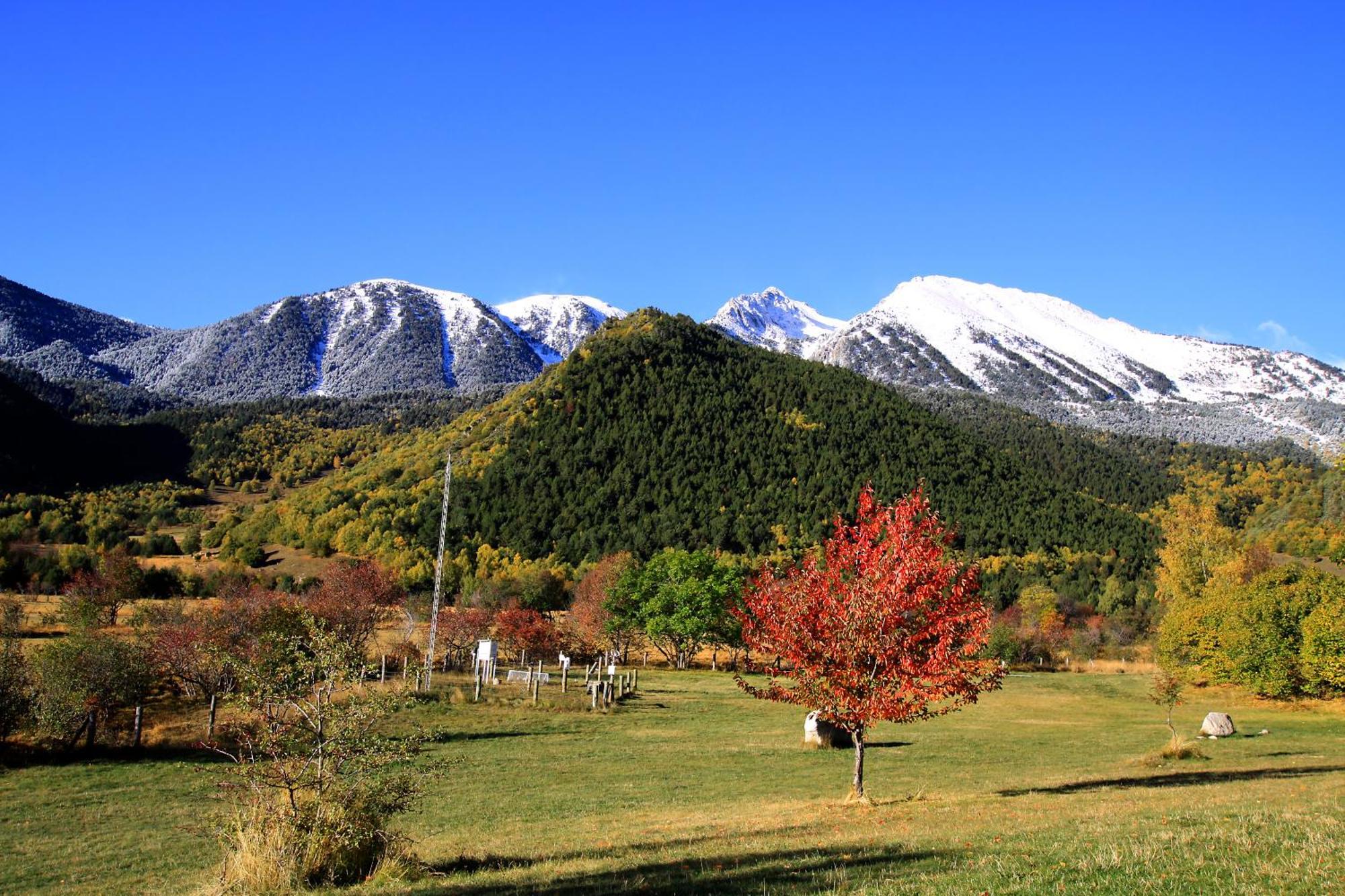 Monnatura Pirineus Son Del Pi Zewnętrze zdjęcie